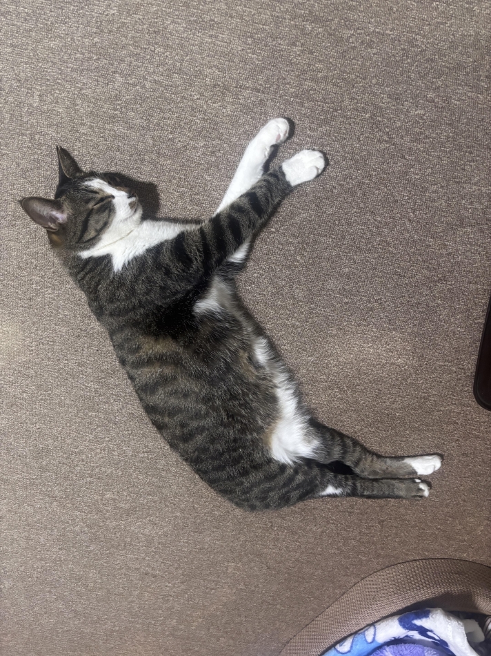 カラオケハイボールbar美人姉妹日記1637914