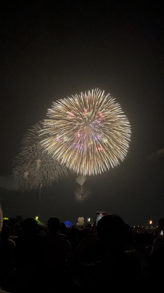 一条 葵