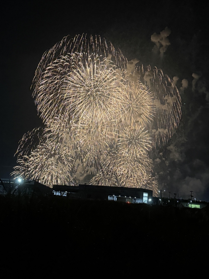 一条 葵