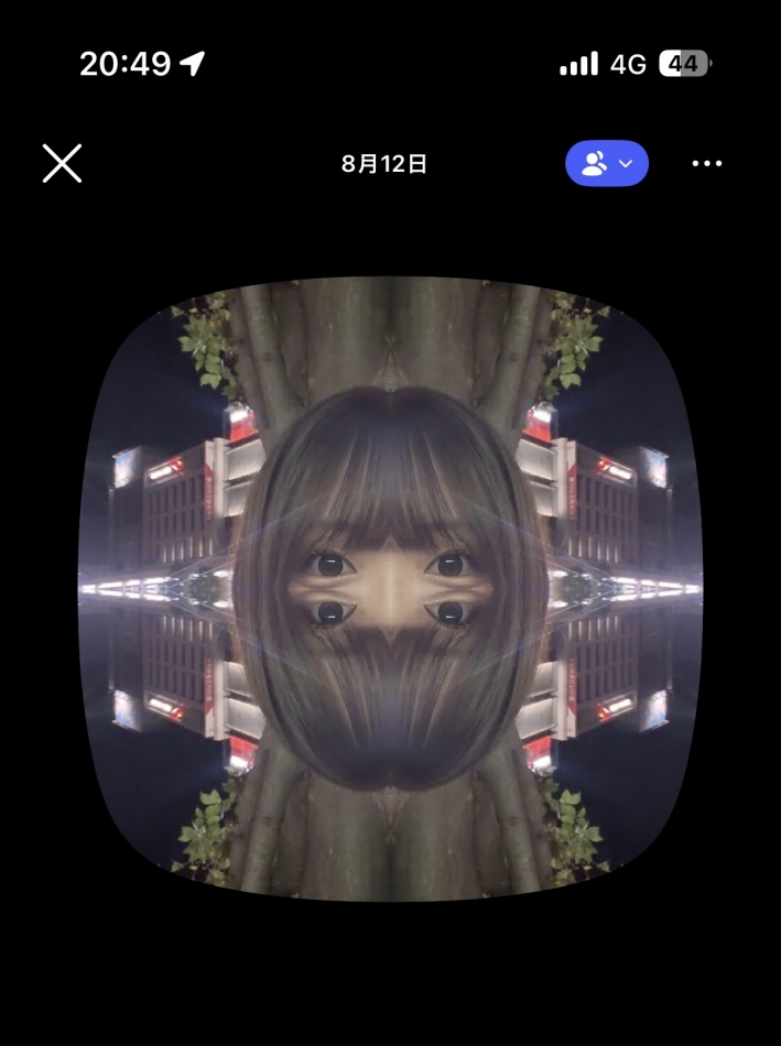 一条 葵