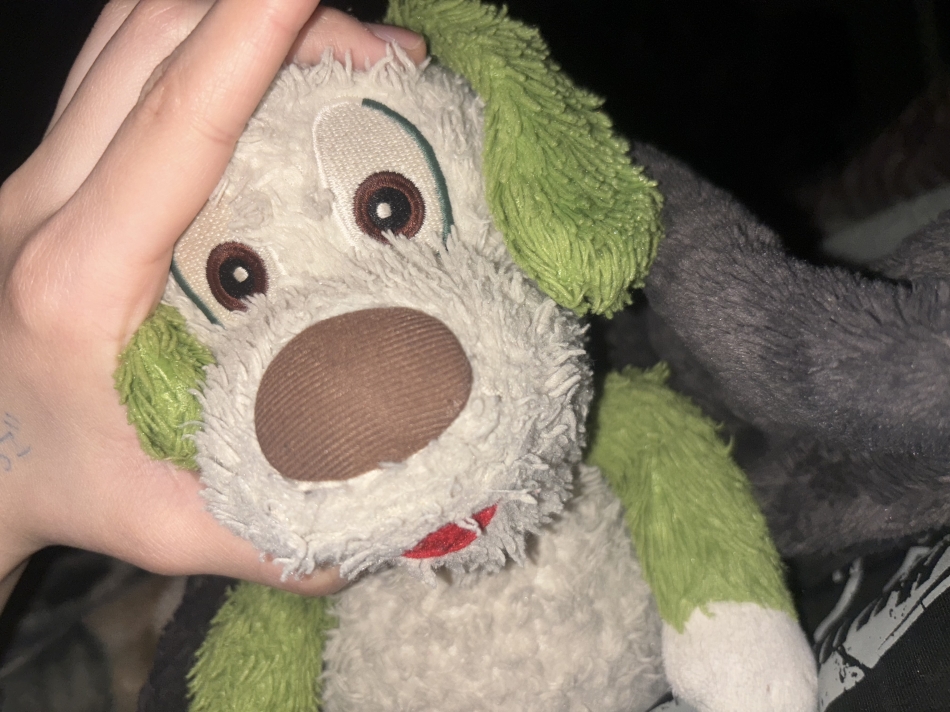 2月12日 00時08分のブログ