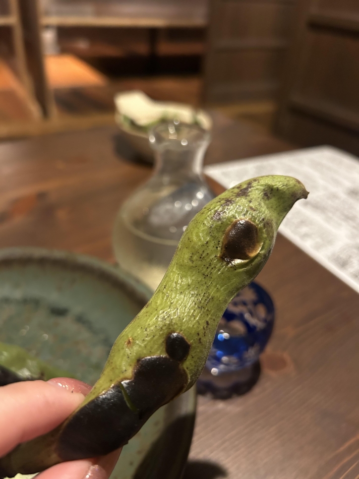 4月5日 21時11分のブログ