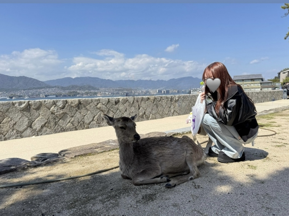シカさん