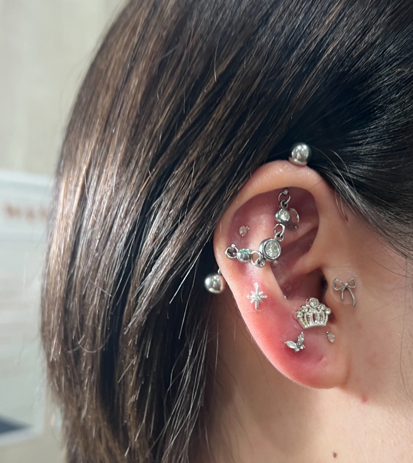 ダフネ日記1549448