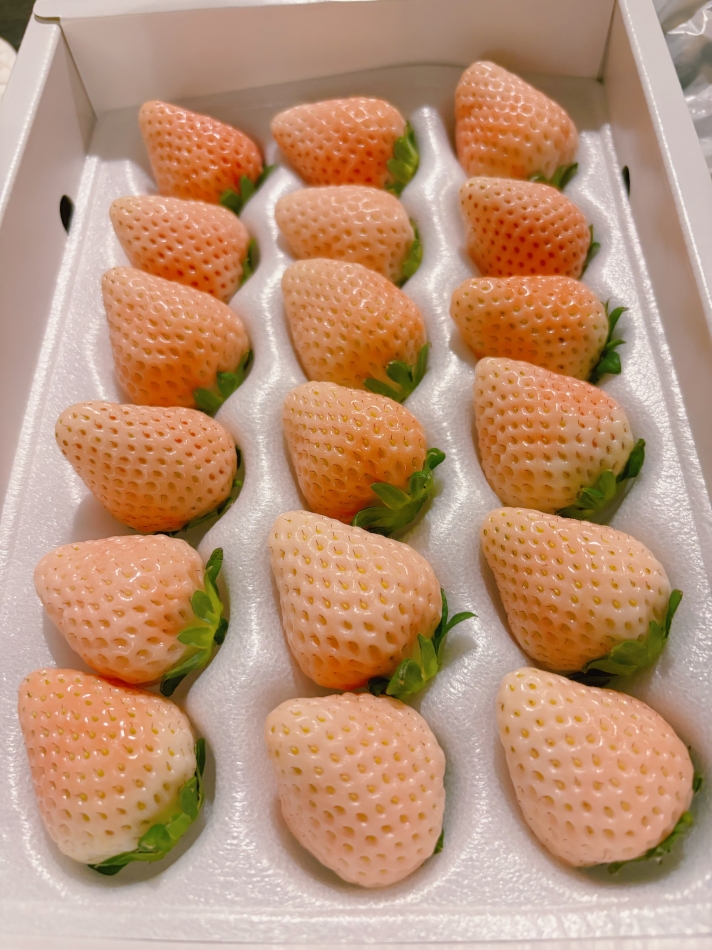 お祭りスナック　わっしょい日記1628883