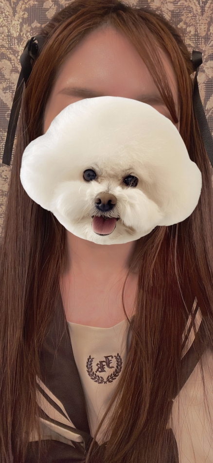 2月7日 21時08分のブログ