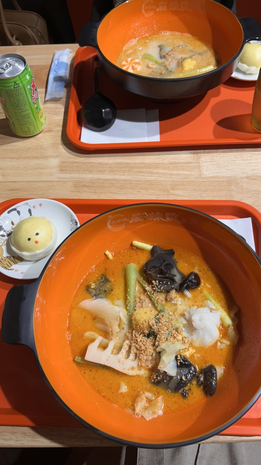 V-niigata-日記1750488