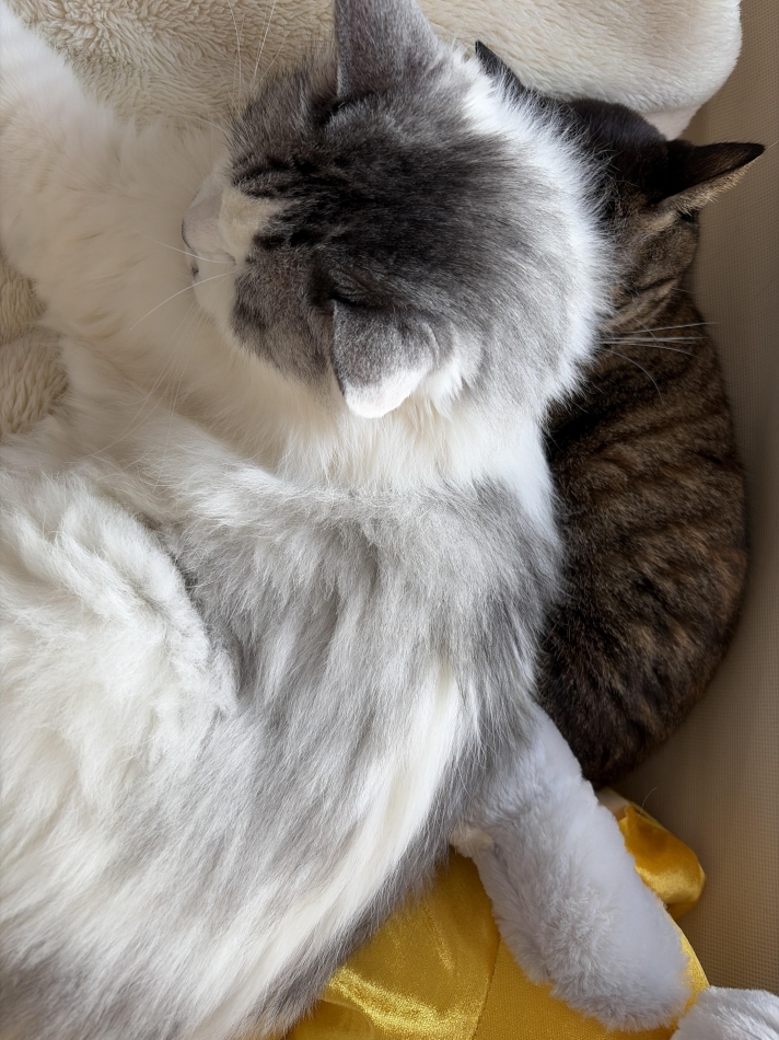 カラオケハイボールbar美人姉妹日記1609449