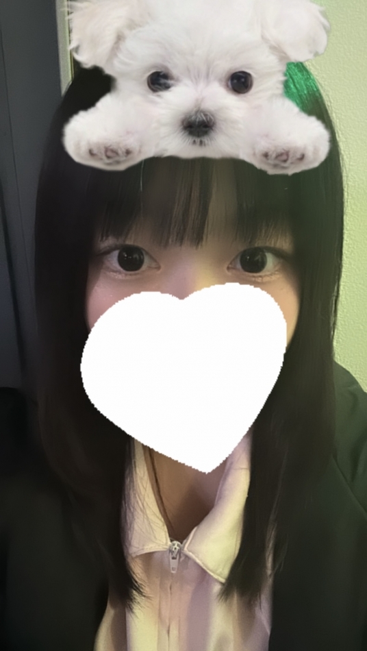 はじめまして～ᐡᴗ ᴗᶻ𝗓