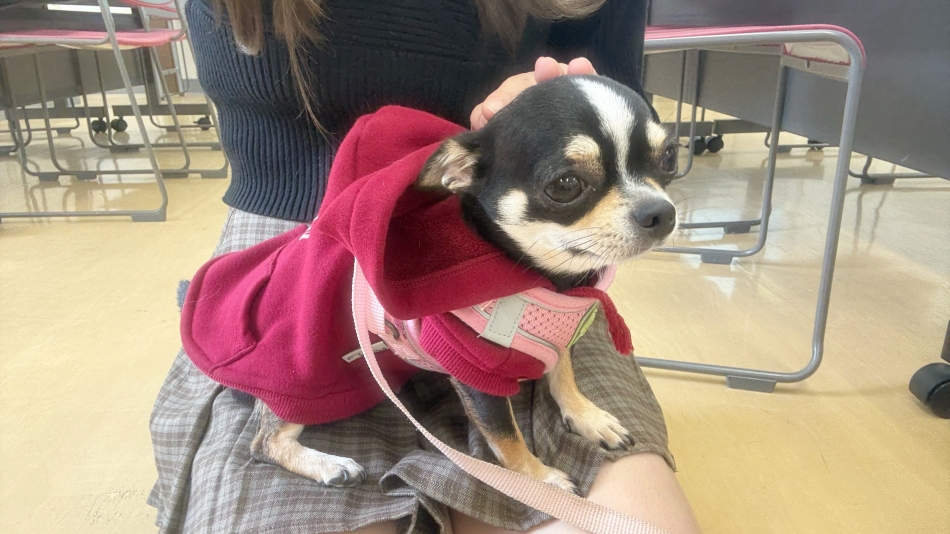 concept bar Citron日記1485123