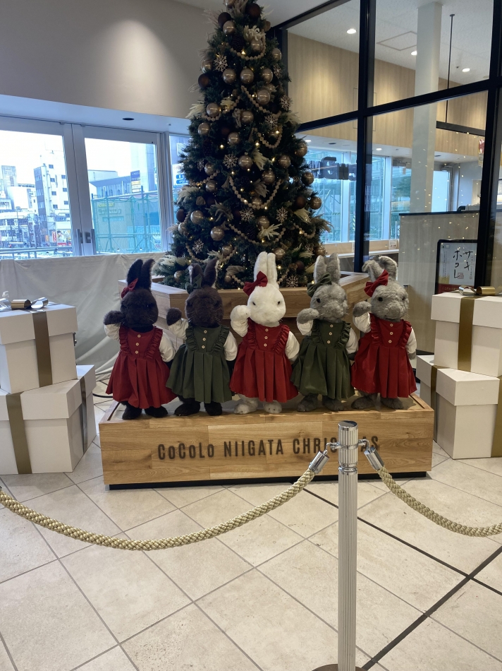 お久しぶりです😌