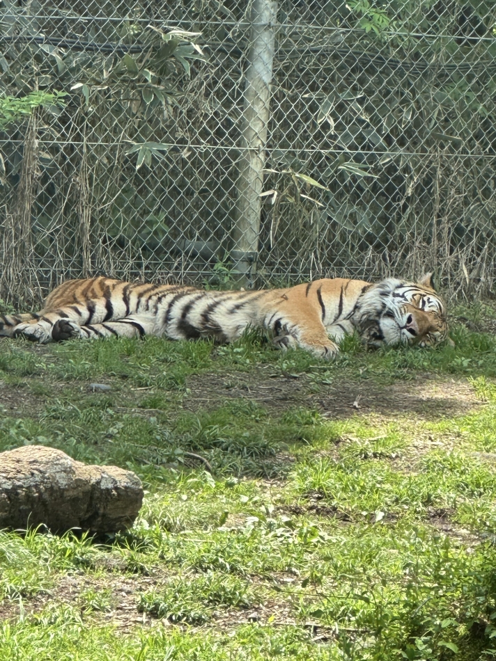 CLUB Red日記1358109