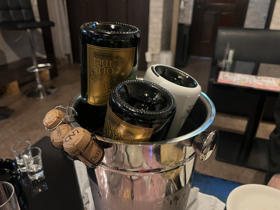 一条 葵