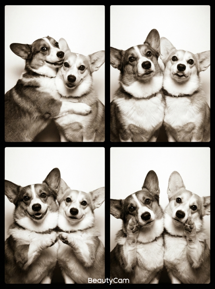 K-LOUNGE日記1630675