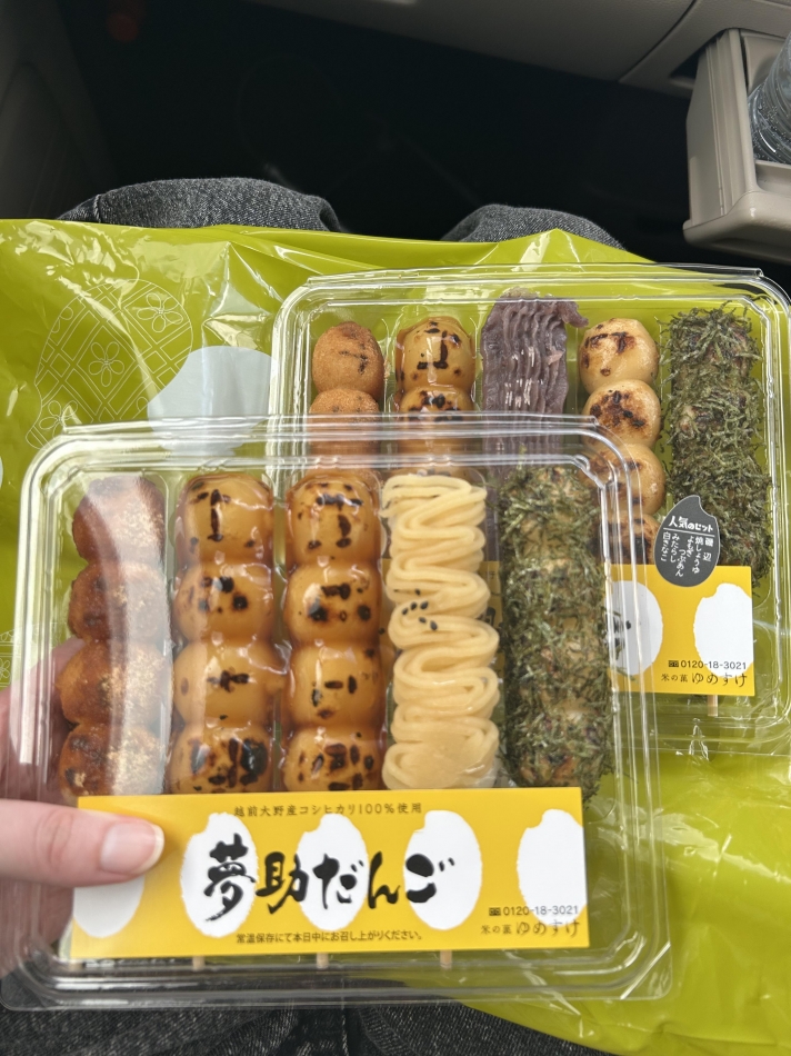 一条 葵