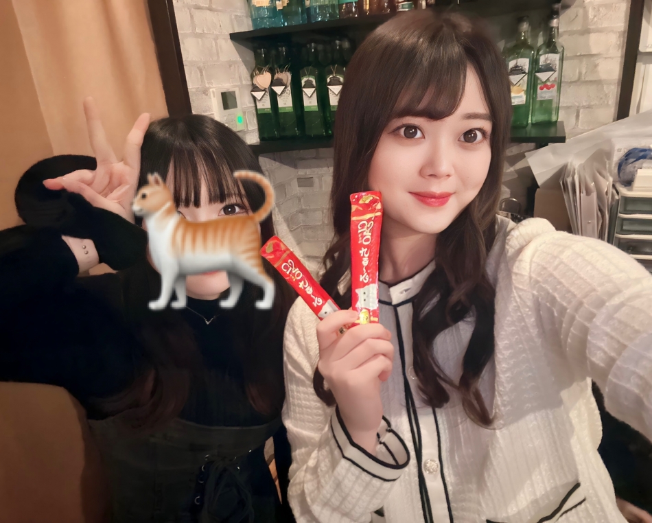 餌付けしてもらった🐈