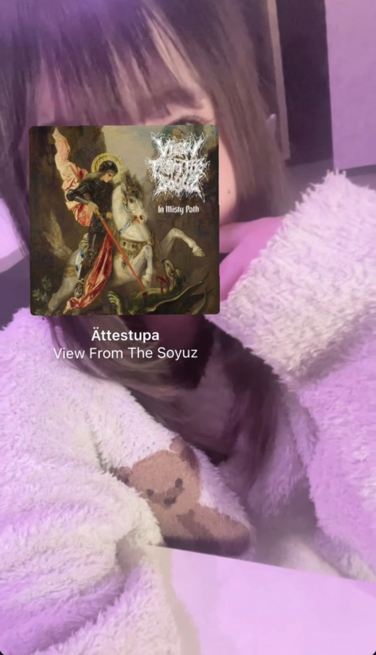 ?ttestupa / View From The Soyuz