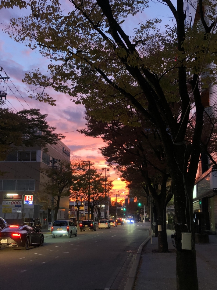 Diletto日記1512093