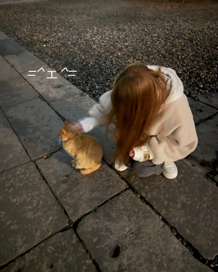 またやりたいなっ