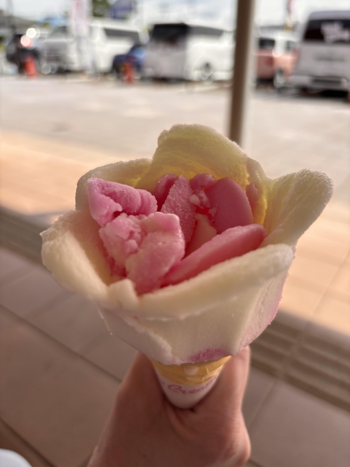 一条 葵