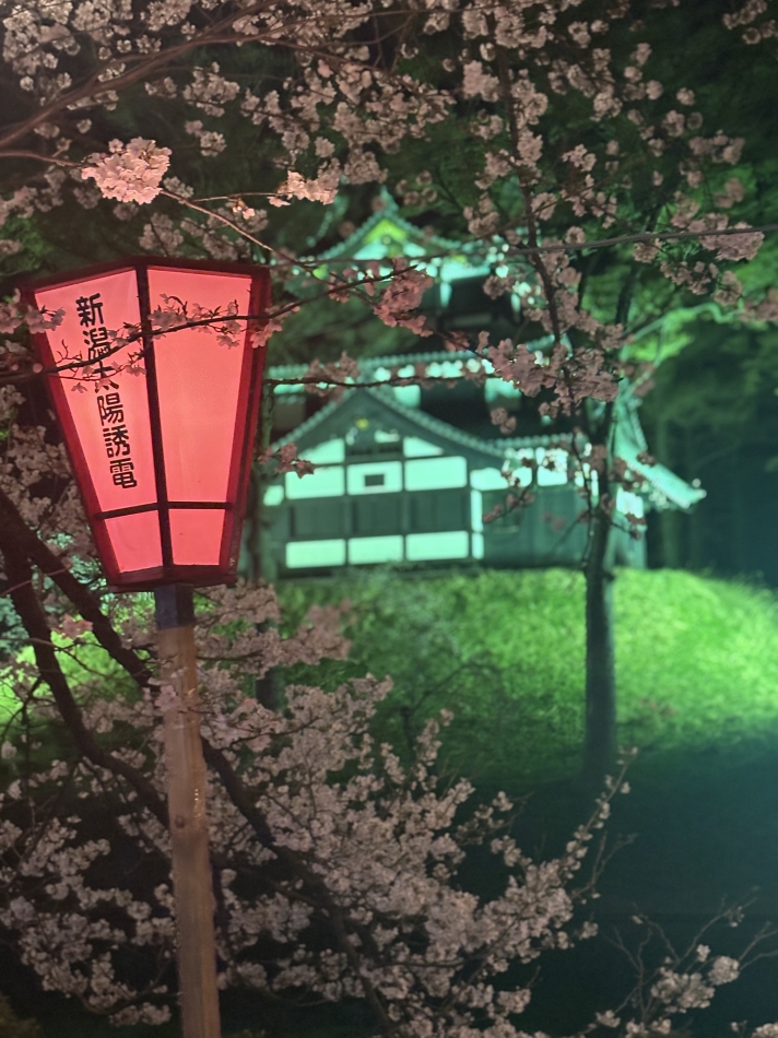 スナック桜華日記1632659