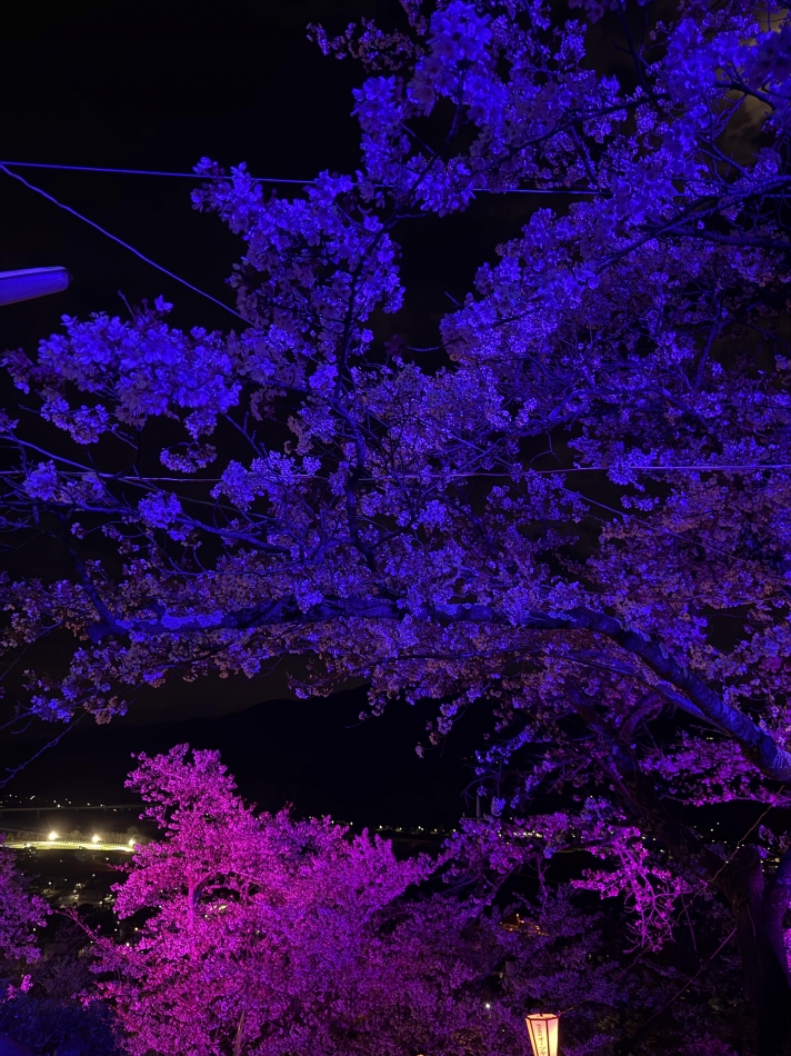 Entertainment Club HANA英BUSA日記1630231