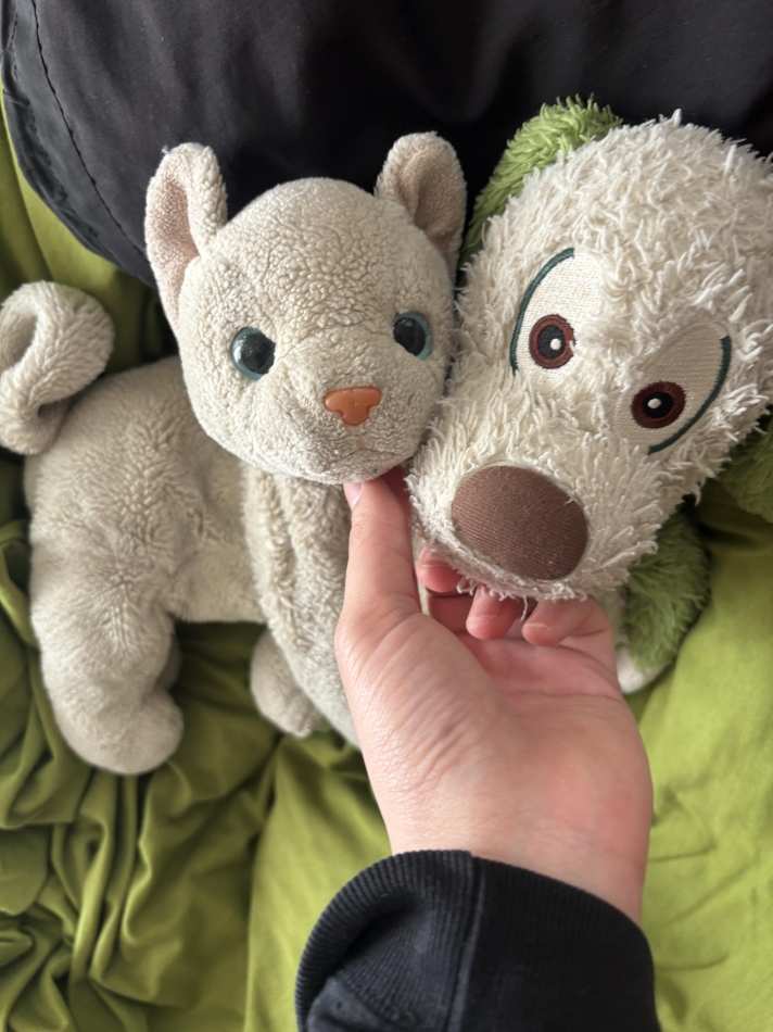 1月31日 22時45分のブログ