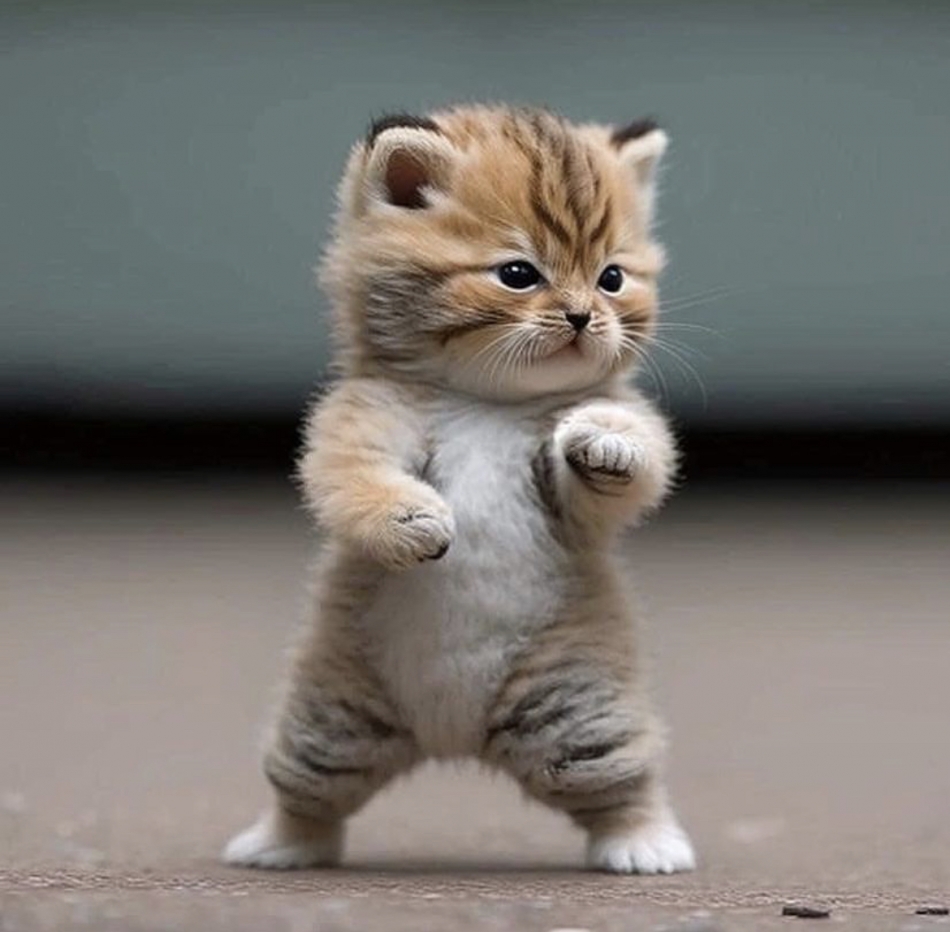 Lounge Anshu日記1436622