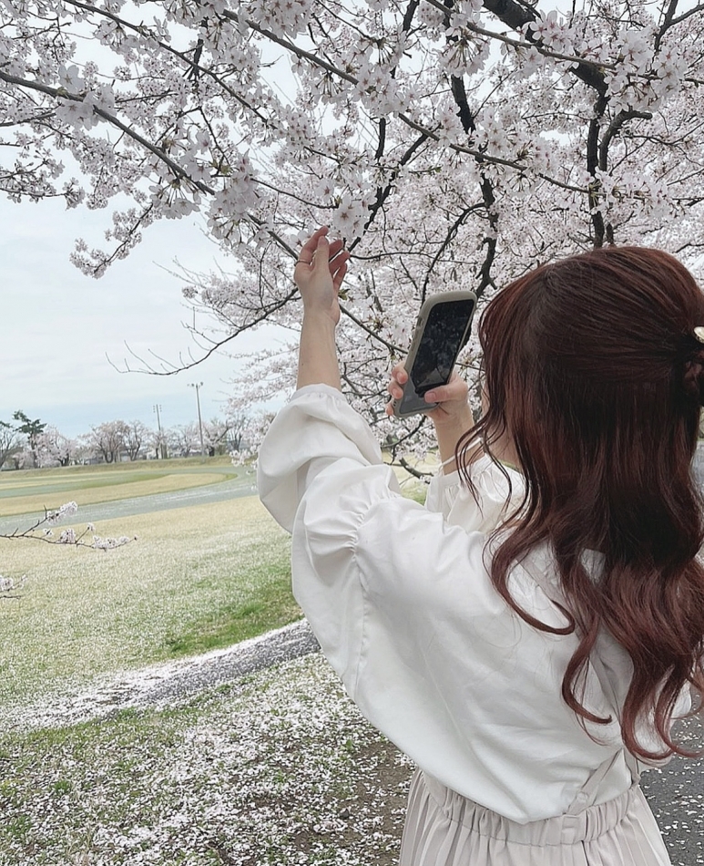 やっとこの季節🌸