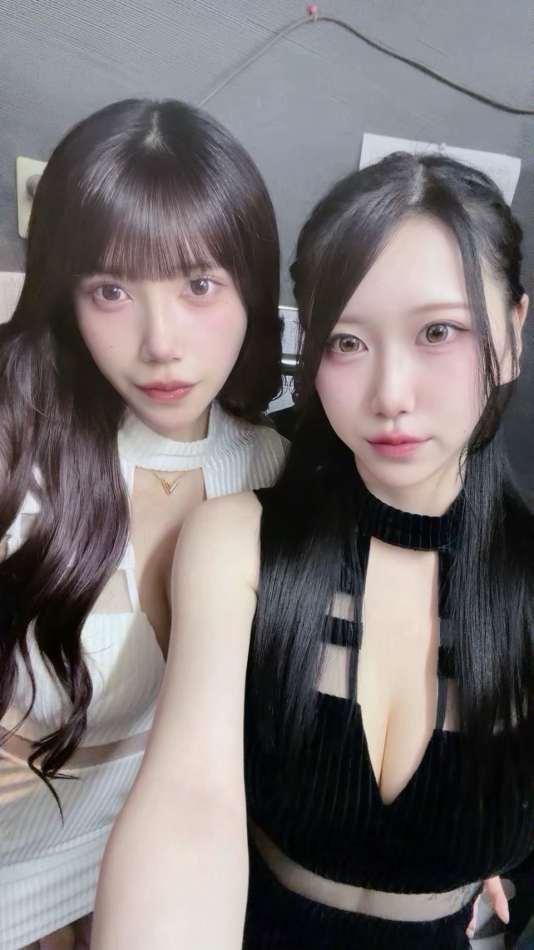 一条 葵