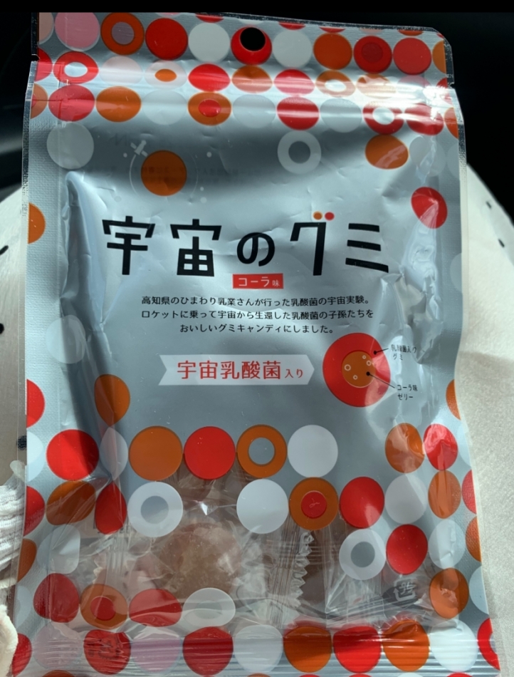 一条 葵
