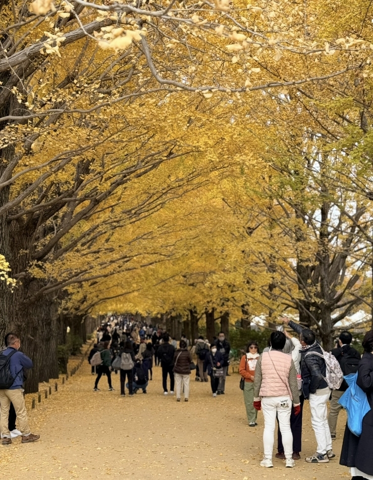 スナックBar Peace日記1547175