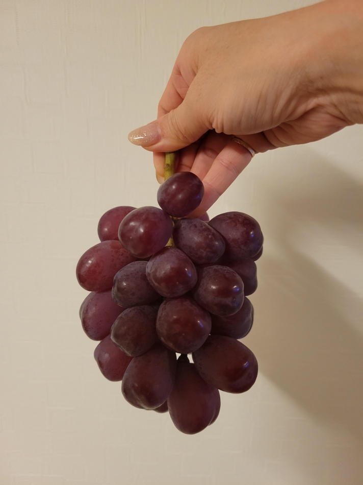 ブラツクシャインマスカット🍇