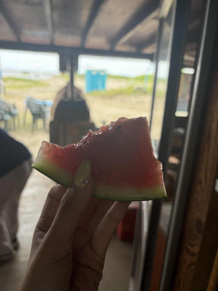 一条 葵