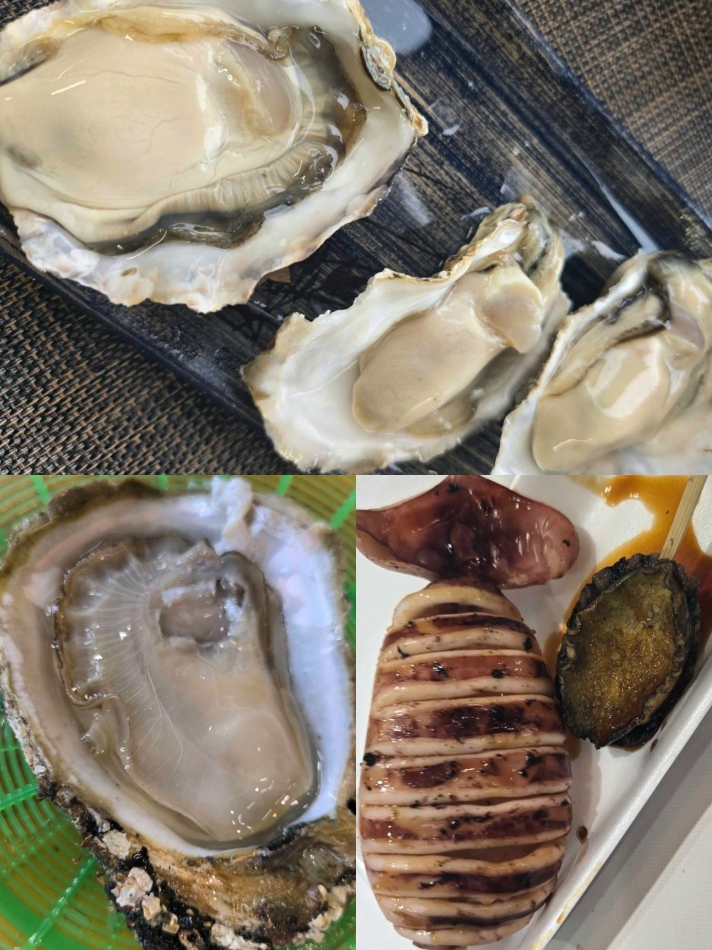 一条 葵