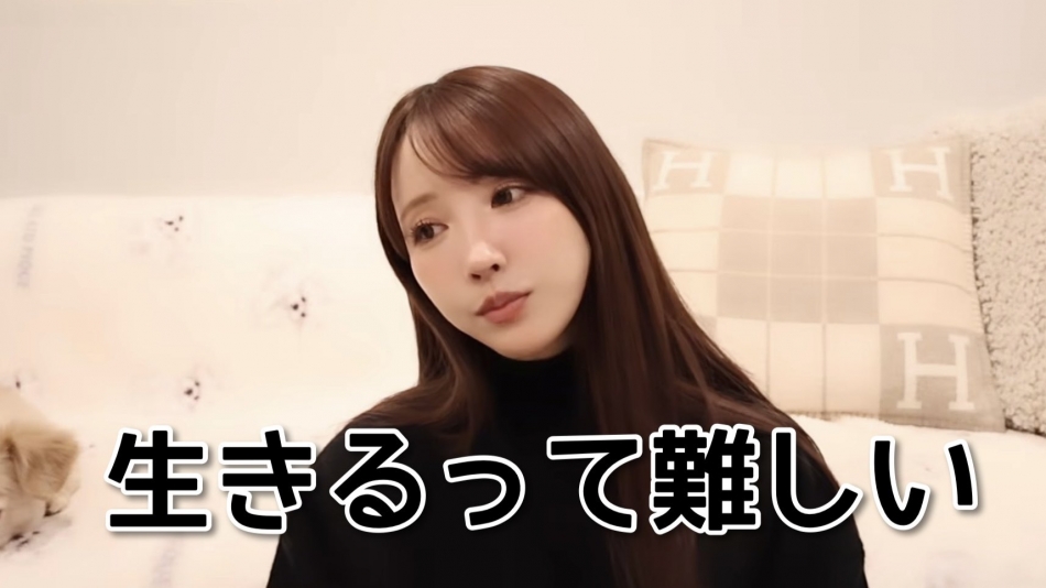 一条 葵
