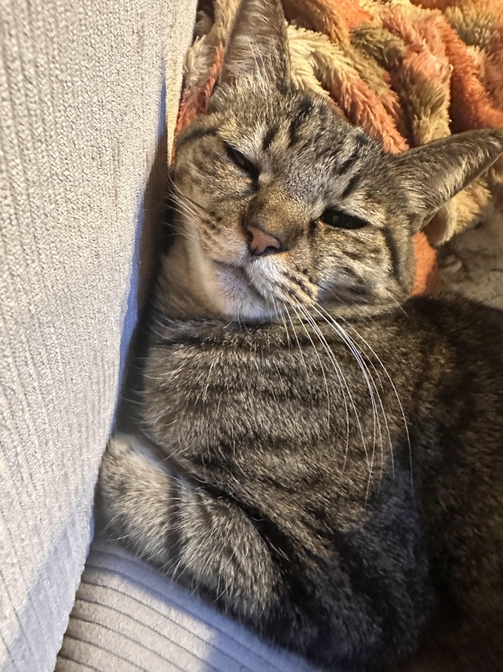 藤咲 あや