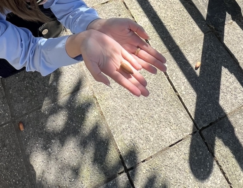 New KANAKO日記1476465