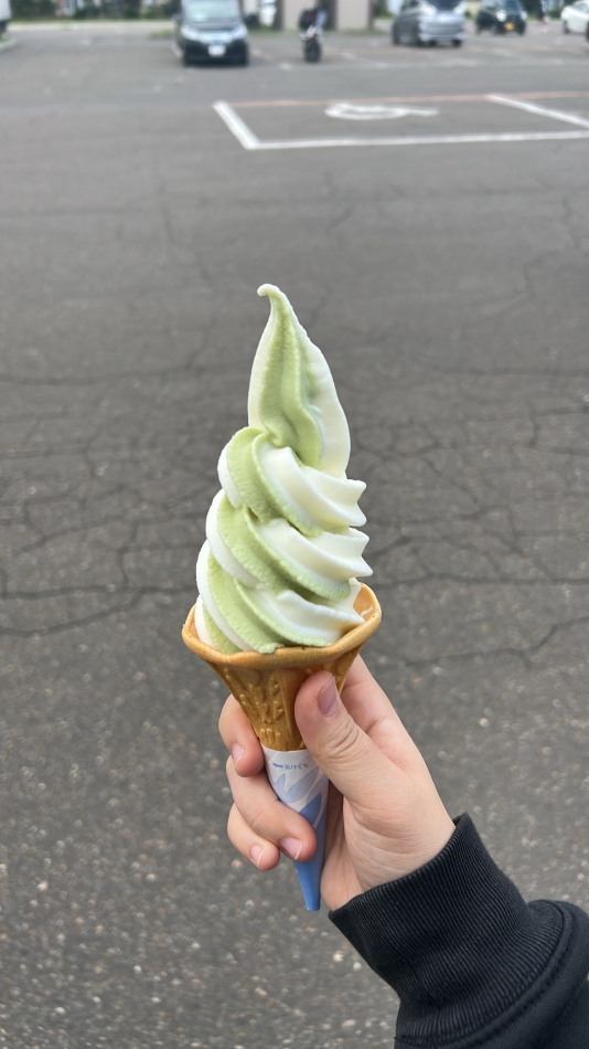 おそるおそる、、:(   ´꒳`;)