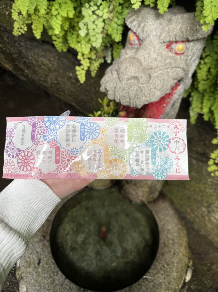 一条 葵