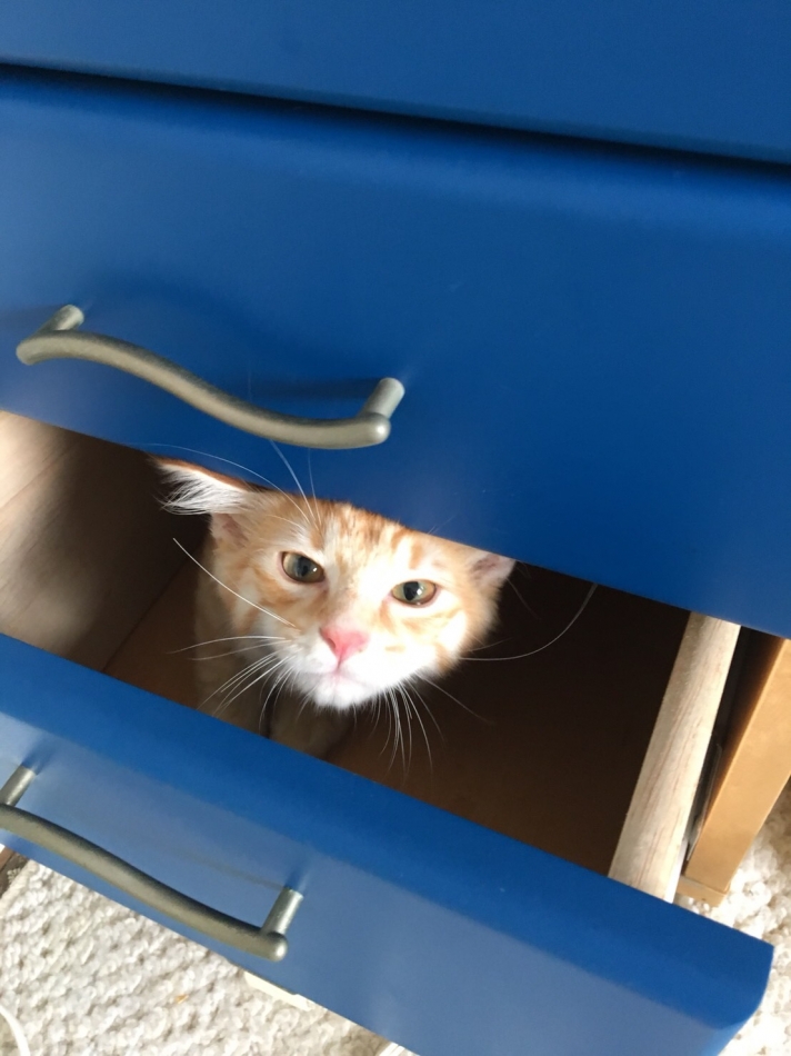 心がポカポカしてるの