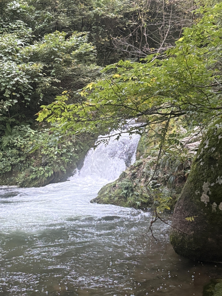 Bar Angel日記1517119