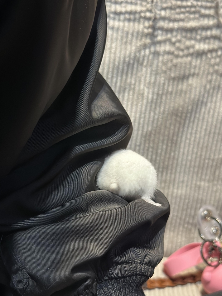 K-LOUNGE日記1630653