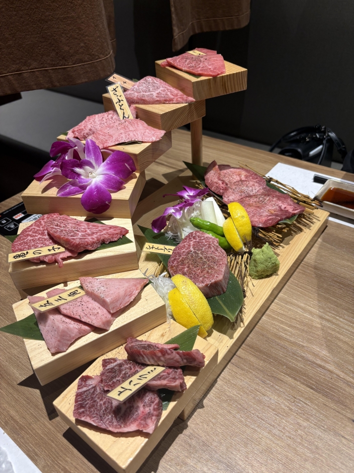 一条 葵