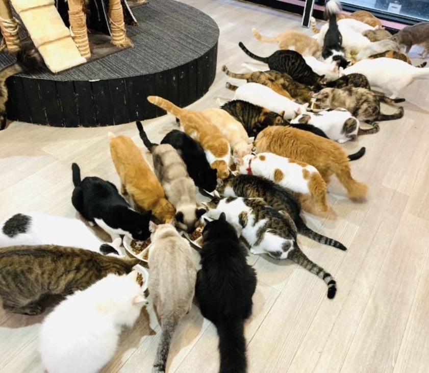 カラオケハイボールbar美人姉妹日記1598613