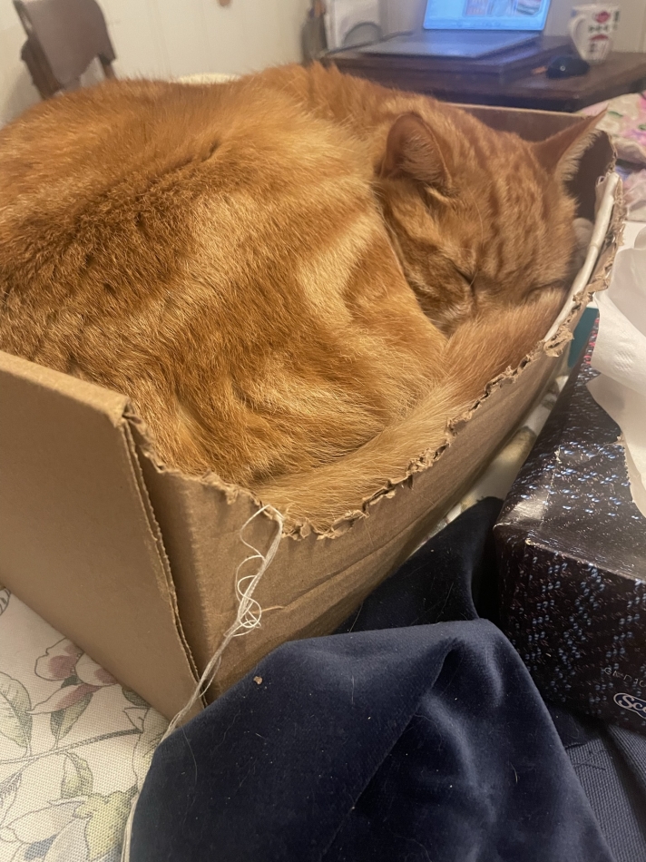 Veronica-ヴェロニカ-日記871300