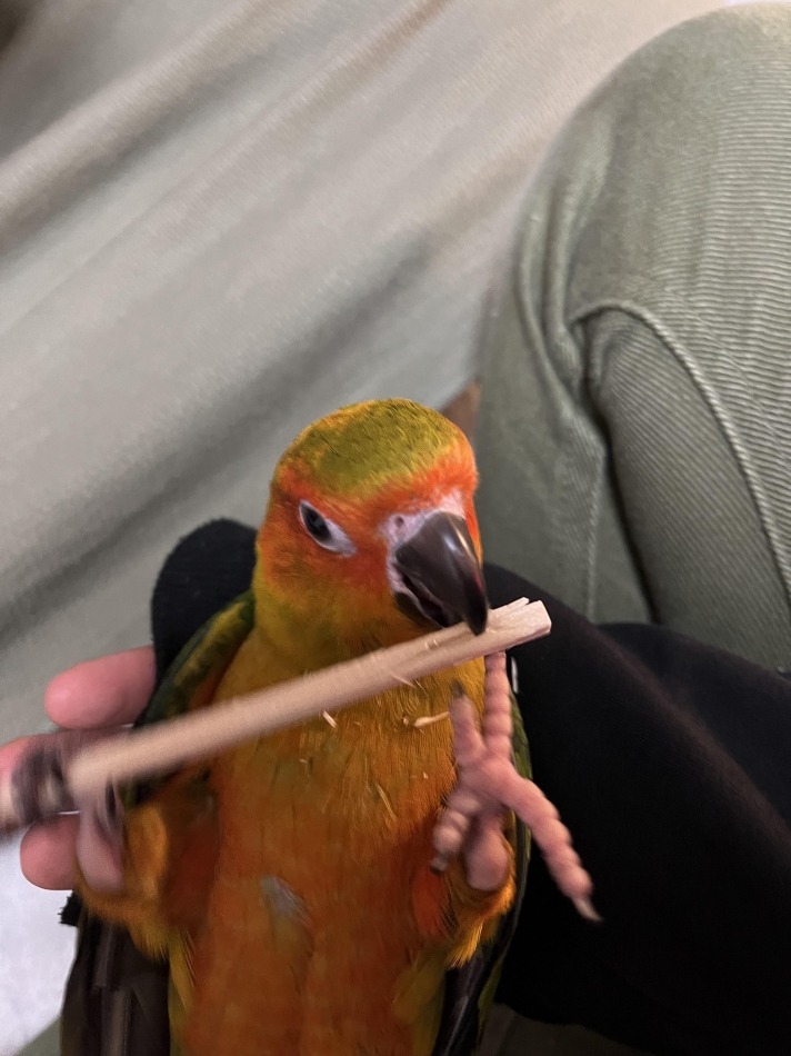 カラオケフードバー Mimi日記1216894