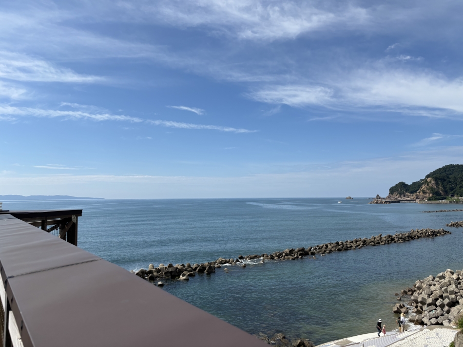 一条 葵