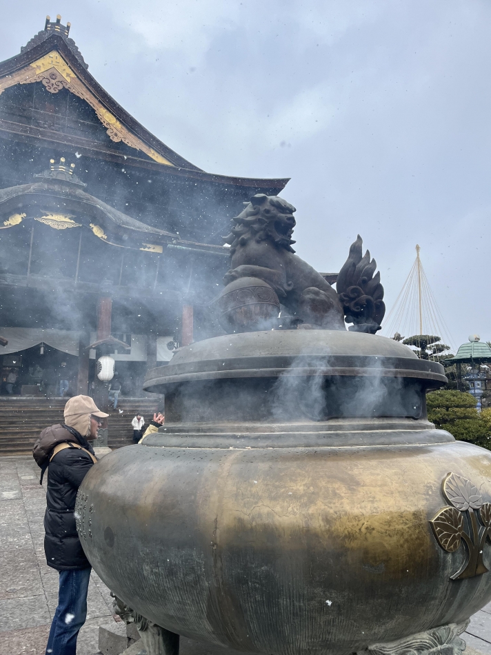 Premium　Ragdoll日記1299788