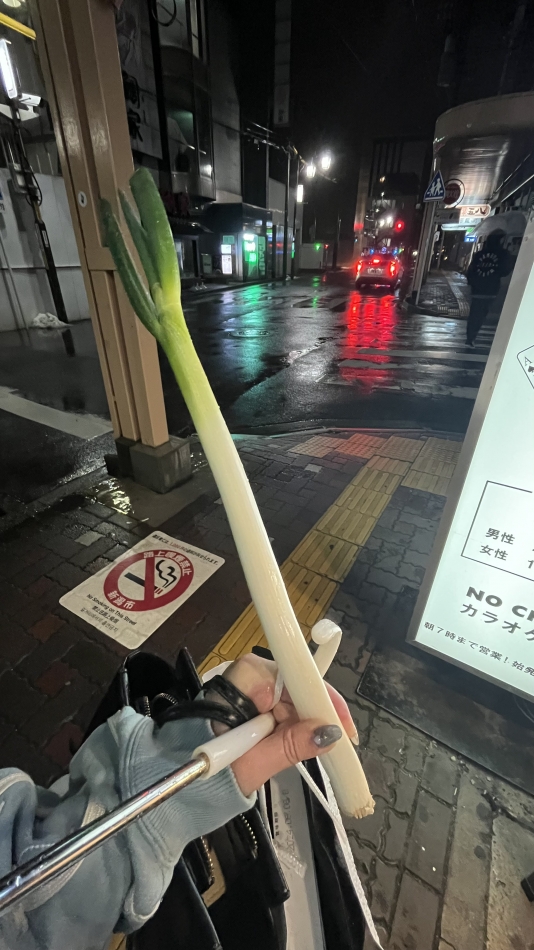 ネギあげましゅ